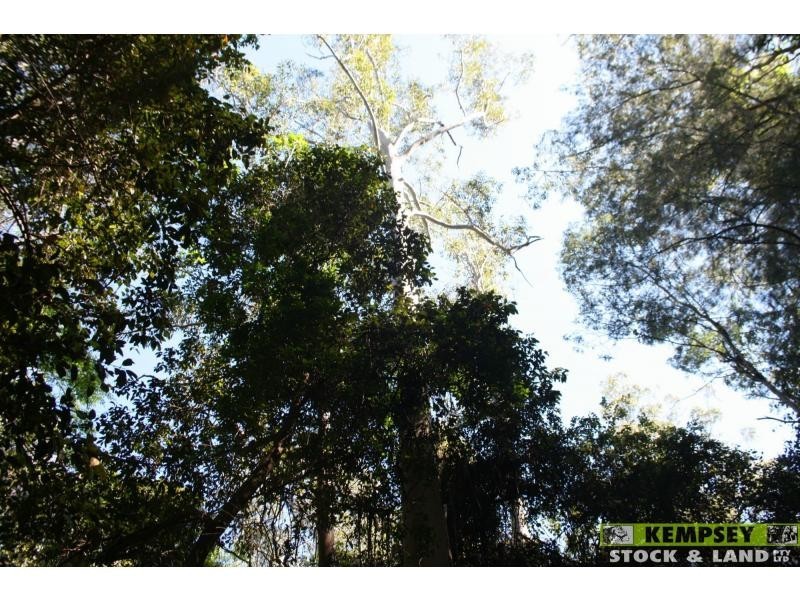 508 Dungay Creek Road, Wittitrin NSW 2440