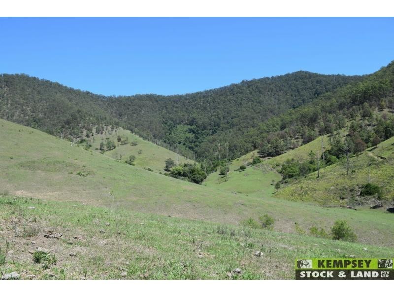 Lower Creek NSW 2440