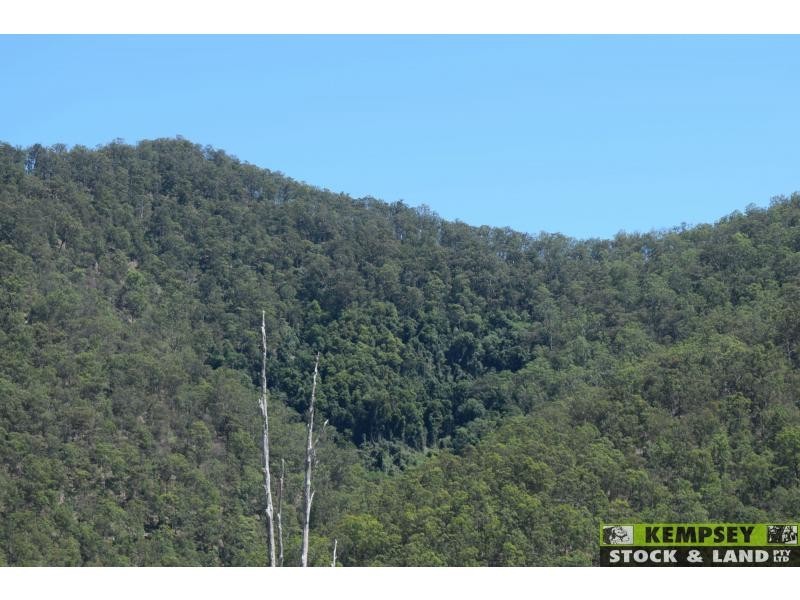 Lower Creek NSW 2440