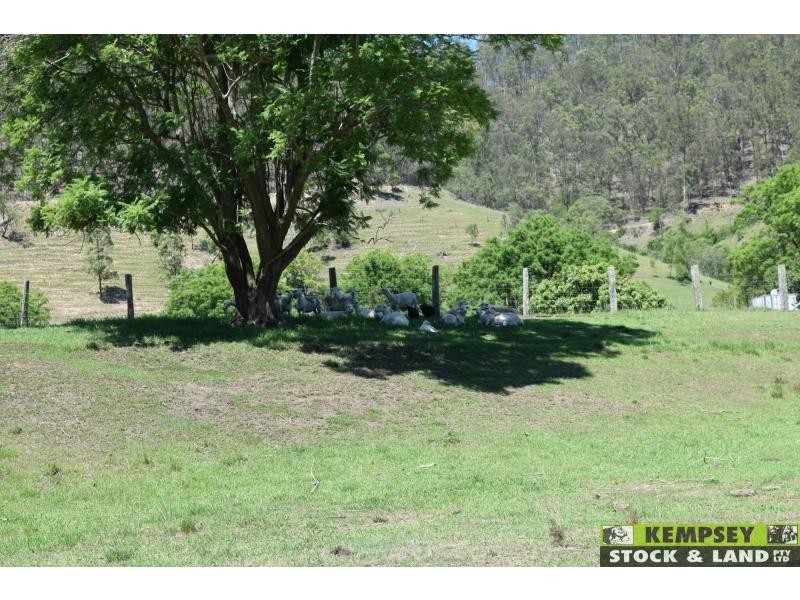 Lower Creek NSW 2440