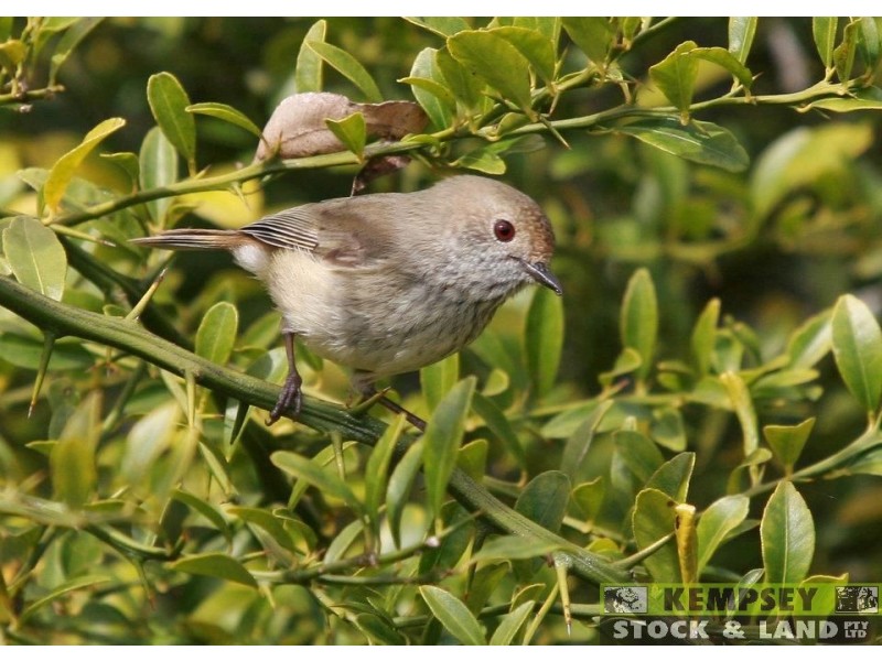 Dondingalong NSW 2440