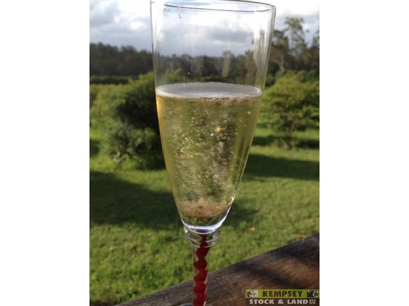 Dondingalong NSW 2440