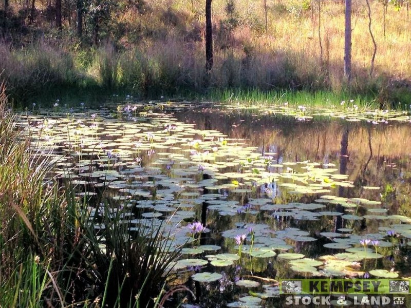 Dondingalong NSW 2440