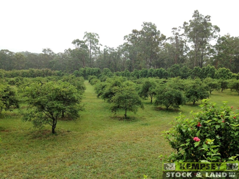 Dondingalong NSW 2440