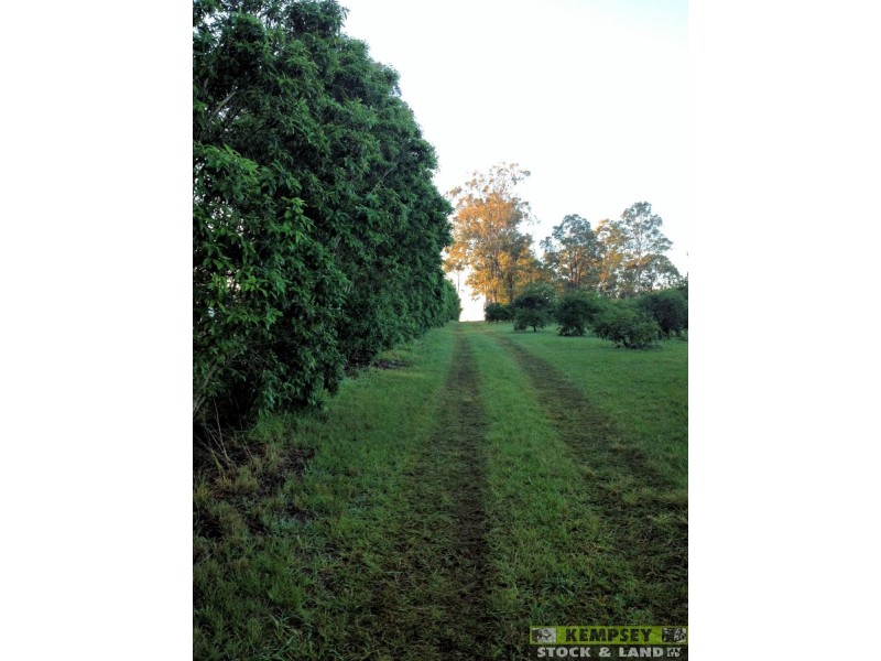 Dondingalong NSW 2440