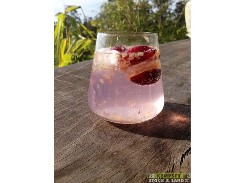 Dondingalong NSW 2440