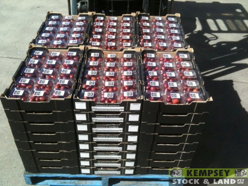 Dondingalong NSW 2440