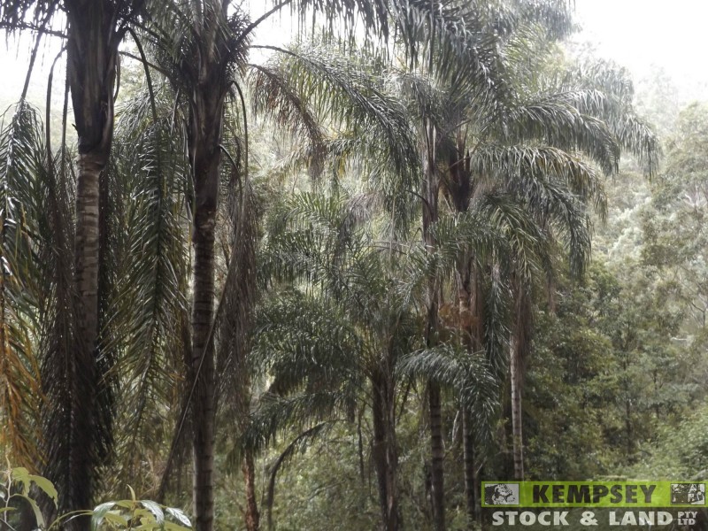 Thumb Creek NSW 2447