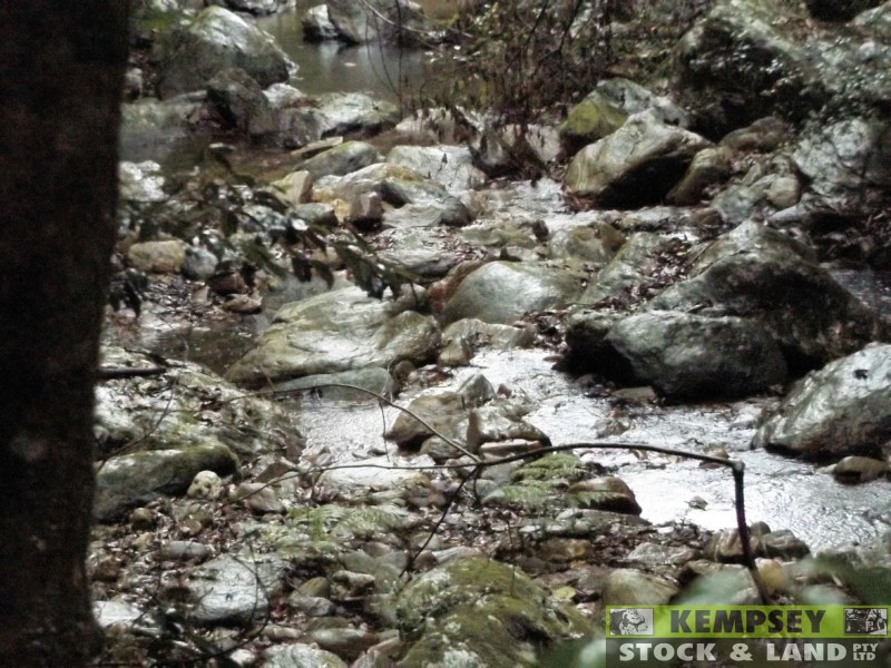 Thumb Creek NSW 2447