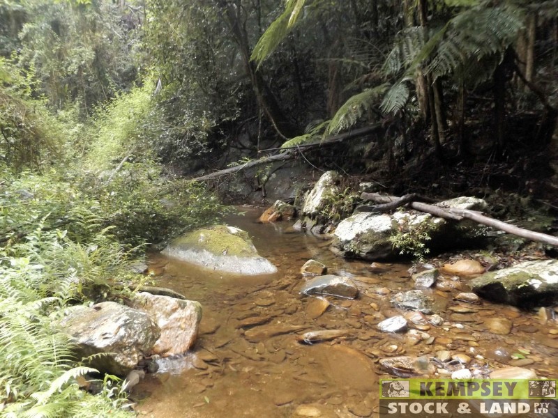 Thumb Creek NSW 2447