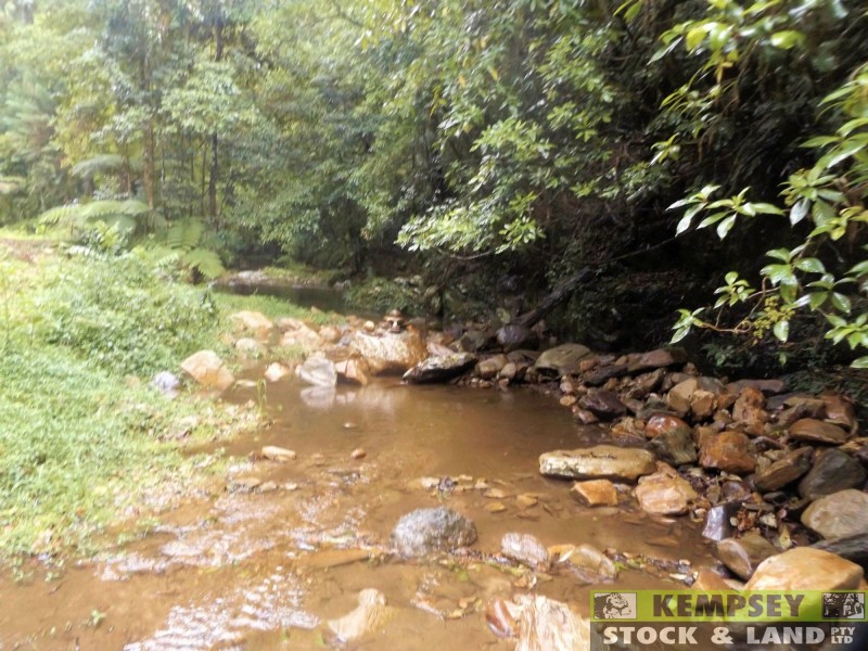 Thumb Creek NSW 2447