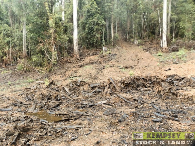 Thumb Creek NSW 2447