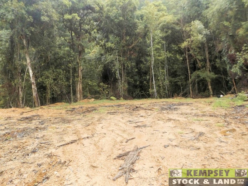 Thumb Creek NSW 2447