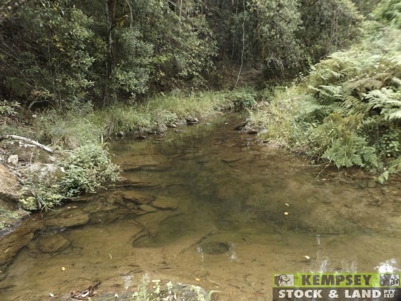 Thumb Creek NSW 2447