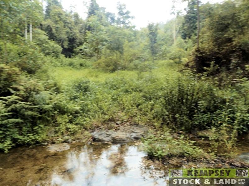 Thumb Creek NSW 2447