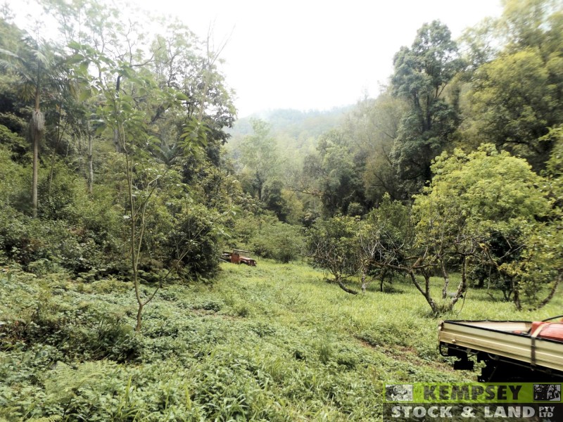 Thumb Creek NSW 2447