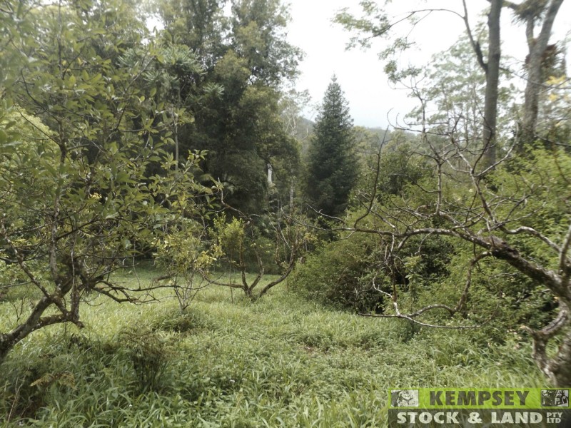 Thumb Creek NSW 2447