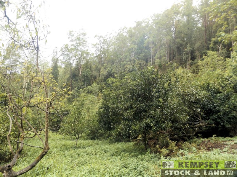 Thumb Creek NSW 2447