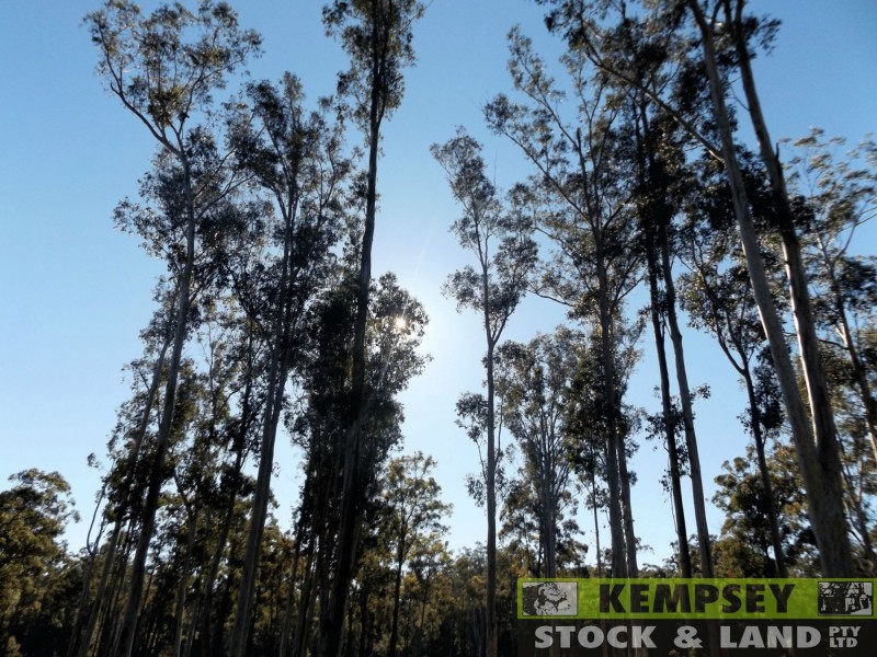Lot 52 Kemps Access St, Collombatti NSW 2440