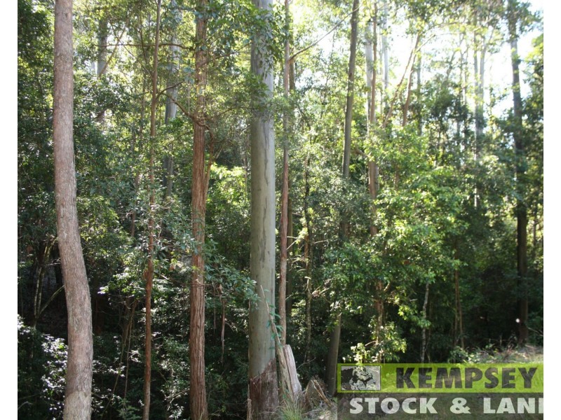 1725 Nulla Nulla Creek Road, Bellbrook NSW 2440