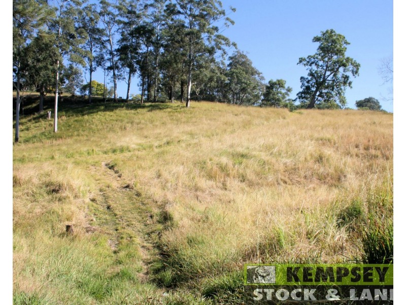 1725 Nulla Nulla Creek Road, Bellbrook NSW 2440