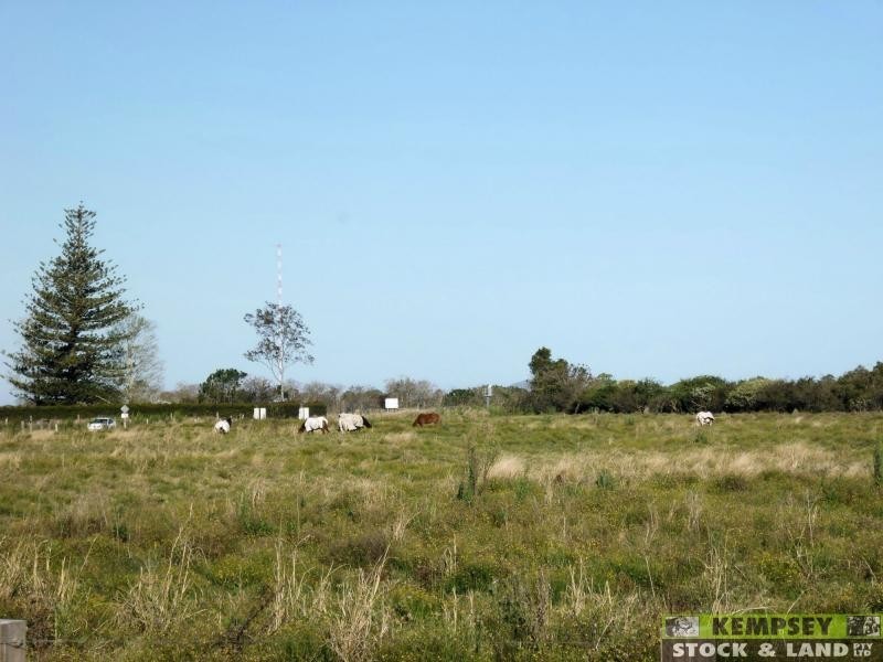 Bellimbopinni NSW 2440