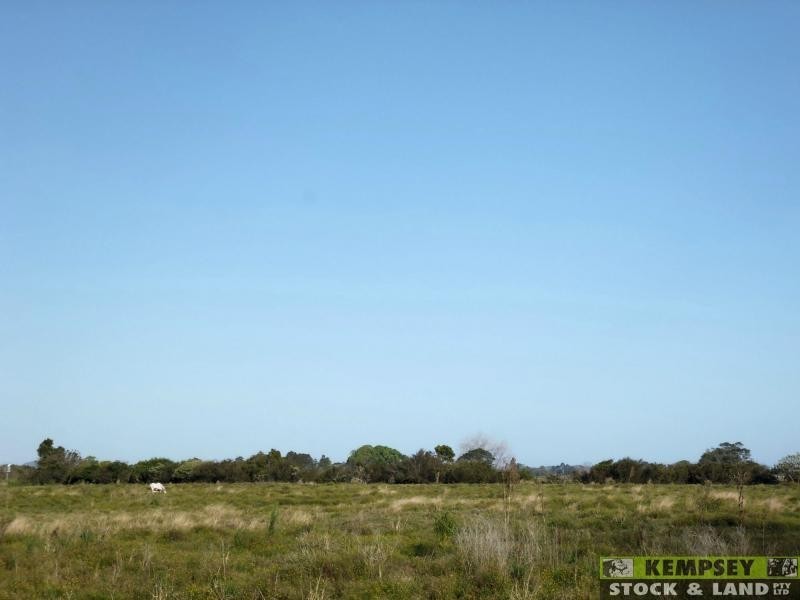 Bellimbopinni NSW 2440