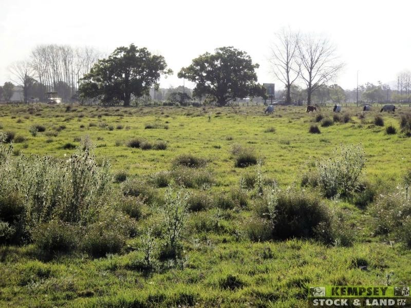 Bellimbopinni NSW 2440