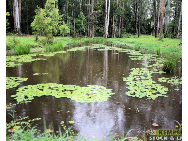 Collombatti NSW 2440