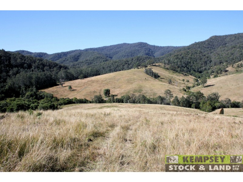 Forbes River NSW 2446