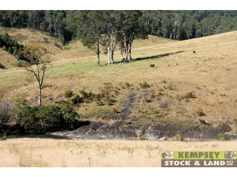 Forbes River NSW 2446