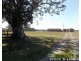 Old Station NSW 2440