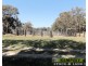Old Station NSW 2440