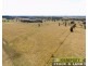 Old Station NSW 2440