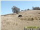 Willi Willi NSW 2440