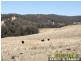 Willi Willi NSW 2440