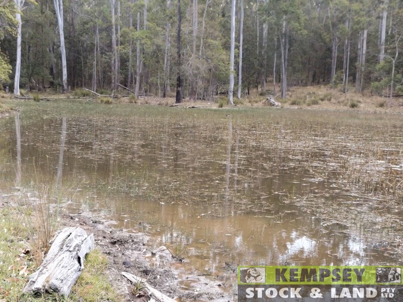 Skillion Flat NSW 2440