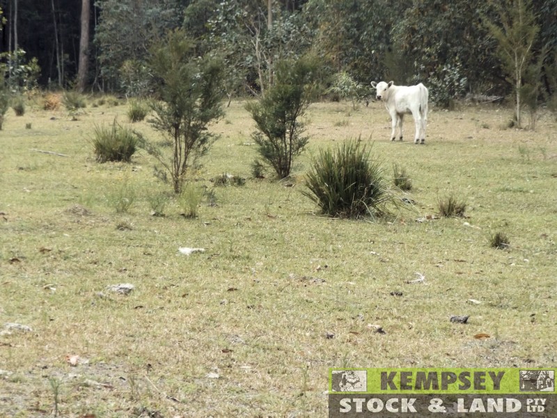 Skillion Flat NSW 2440