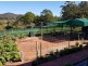 56 Ptolemys Accs, Collombatti NSW 2440