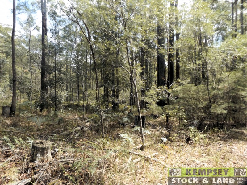 402 Battersons Road, Collombatti NSW 2440