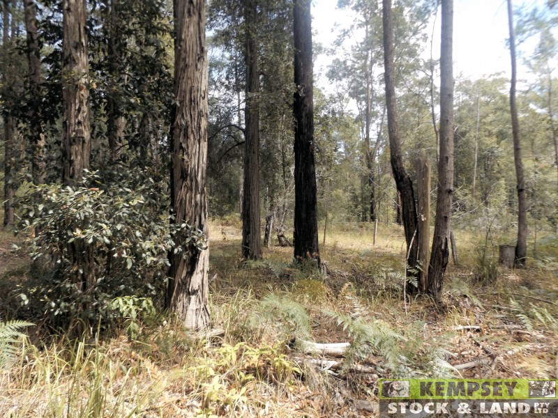 402 Battersons Road, Collombatti NSW 2440