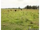 Lots 195 & 257 Croads Lane, Clybucca NSW 2440
