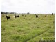 Lots 195 & 257 Croads Lane, Clybucca NSW 2440