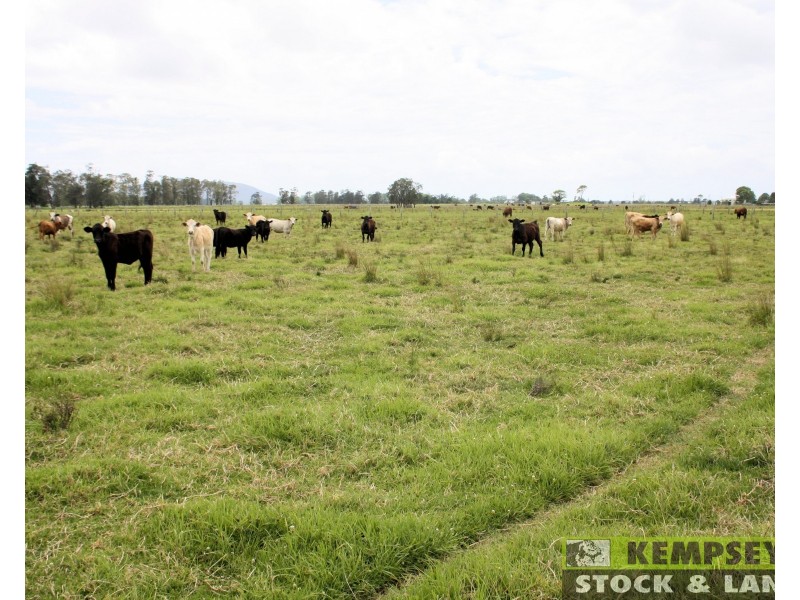 Lots 195 & 257 Croads Lane, Clybucca NSW 2440