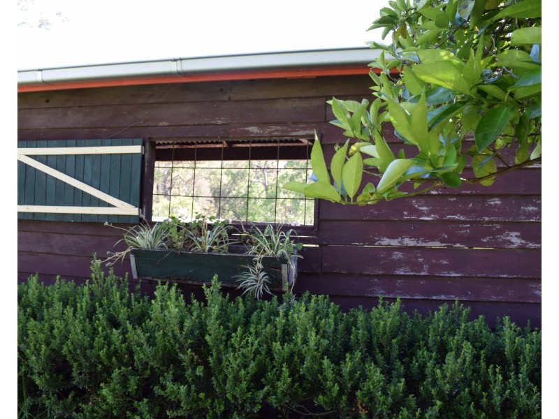 50 Dennis Rd, Mungay Creek NSW 2440