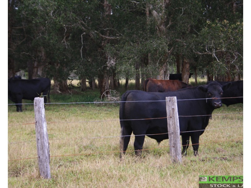 East Kempsey NSW 2440