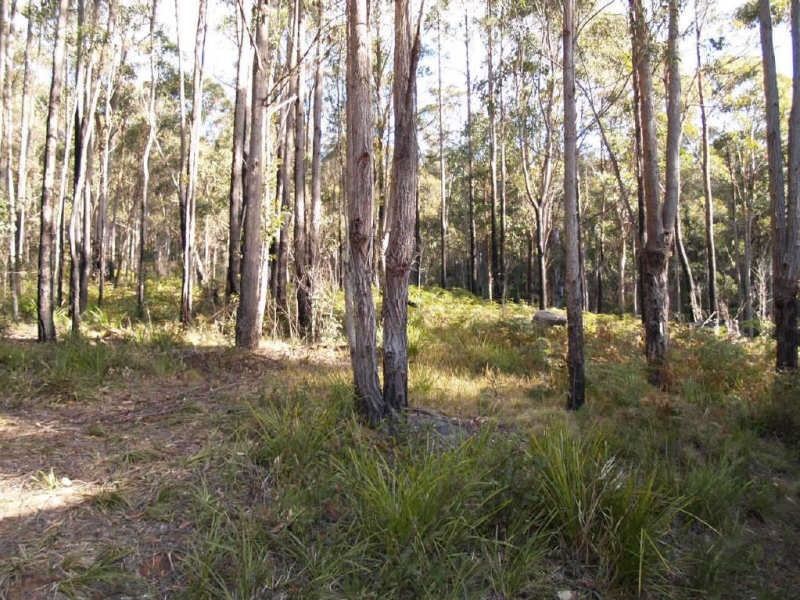 4450 Chaelundi Road, Dundurrabin NSW 2453