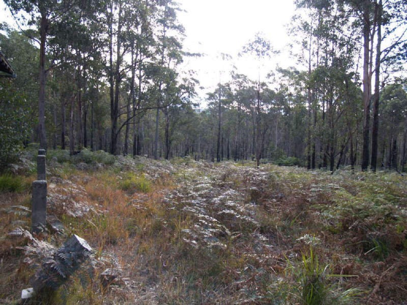 4450 Chaelundi Road, Dundurrabin NSW 2453