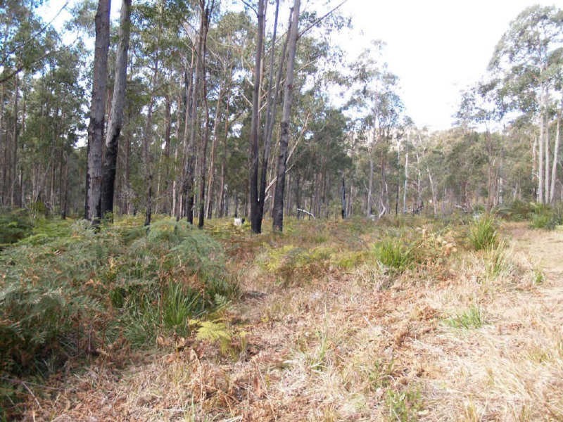 4450 Chaelundi Road, Dundurrabin NSW 2453