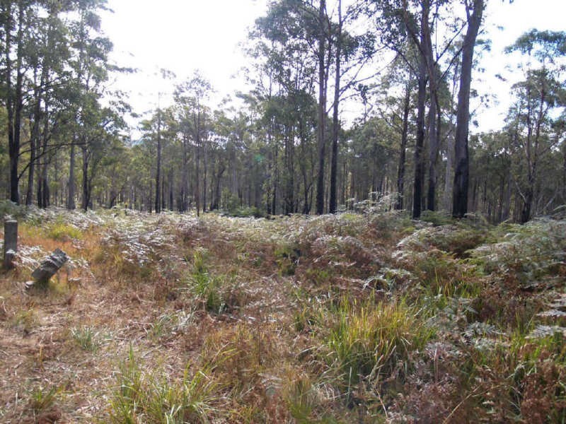 4450 Chaelundi Road, Dundurrabin NSW 2453